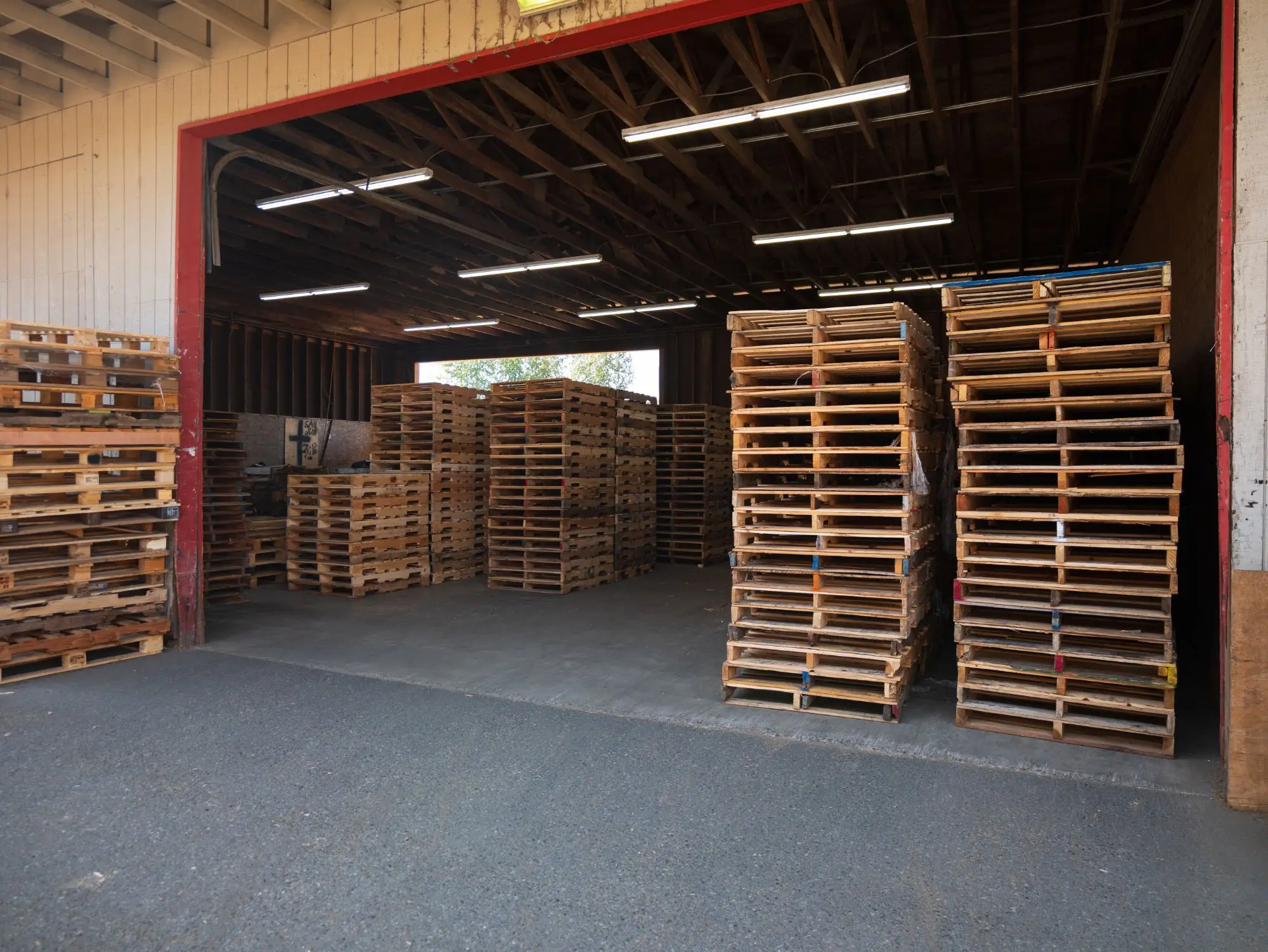 Rows of inspected, repaired recycled pallets stacked in the APSS warehouse in Tacoma, WA